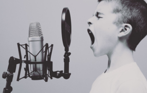 Atelier techniques vocales